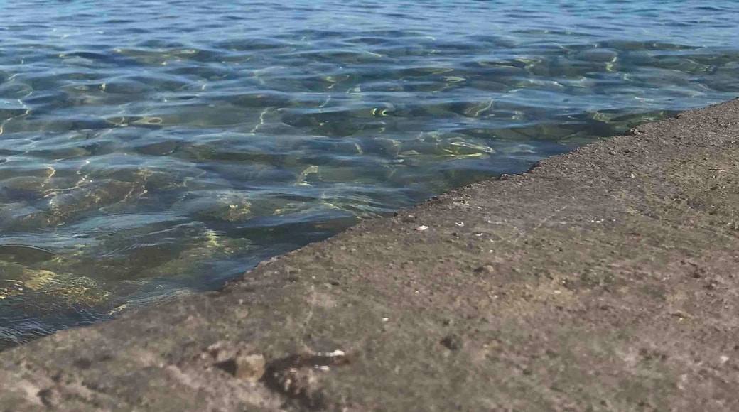 Enjoying the last sunny days