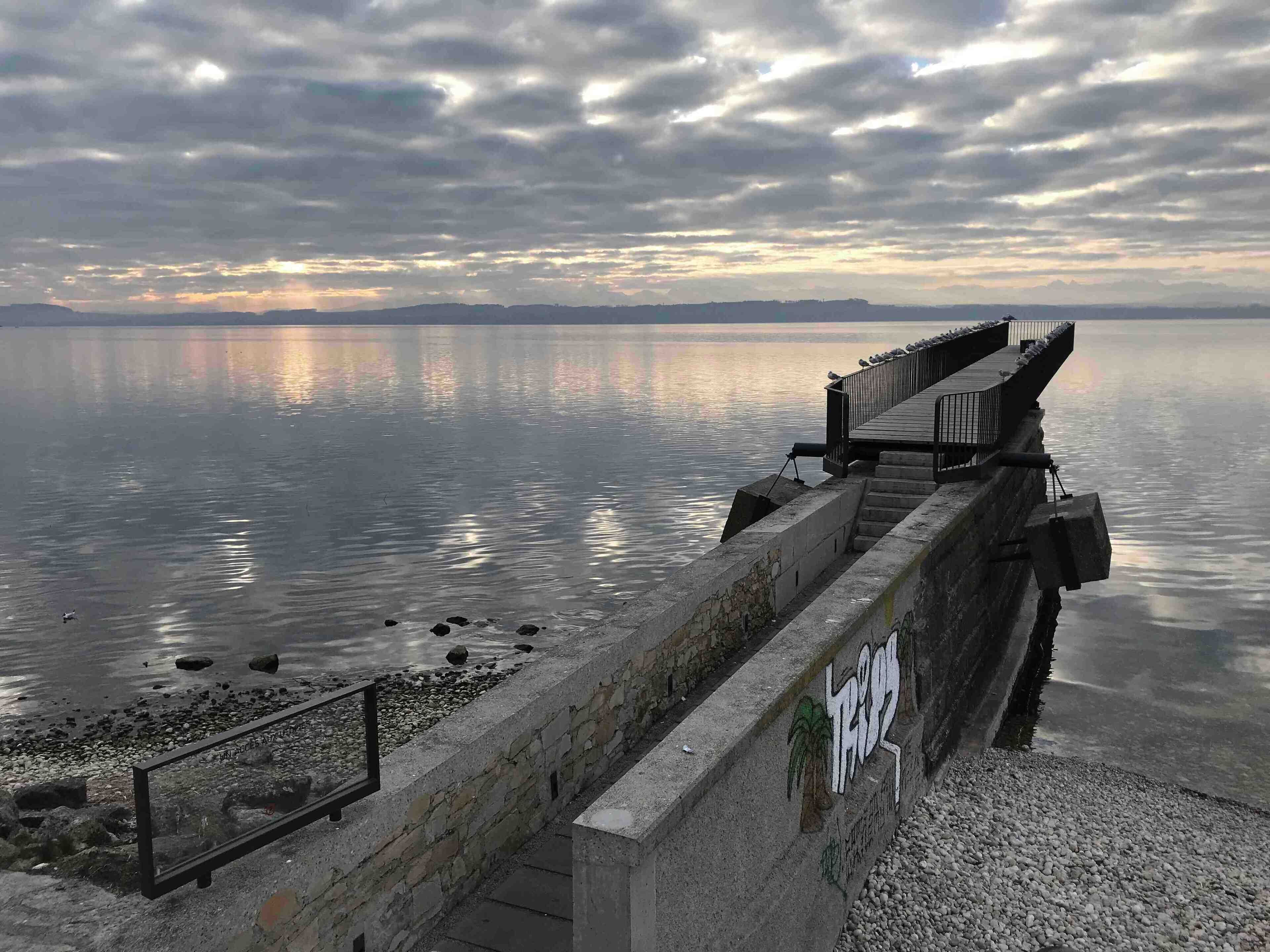 What dreams are made of