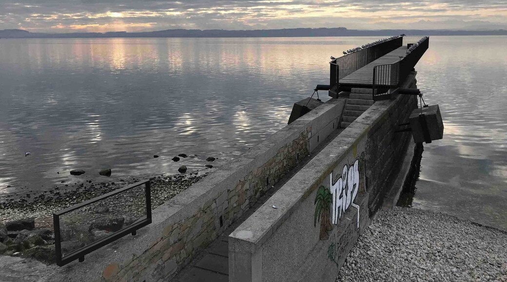 What dreams are made of