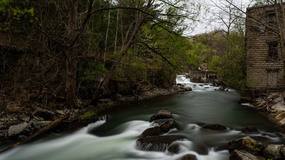 A river flowing through a forested area with a brick building on the right.