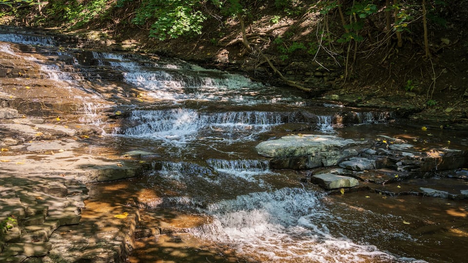 A cascading waterfall over rocky terrain surrounded by dense forest.