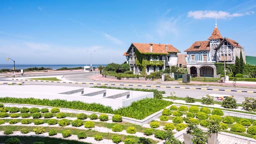 帕索德卡拉斯科