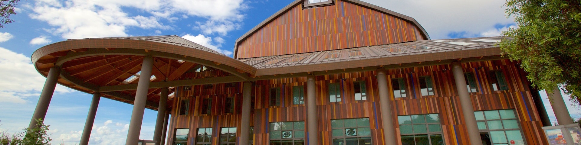 Teatro del Lago showing modern architecture