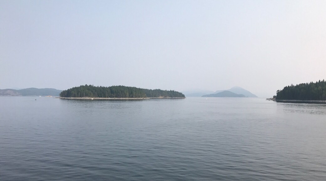 I have no money, no resources, no hopes. I am the happiest man alive.
- Henry Miller
Leaving Cortes Island. I feel shrouded in mist but happy. The trip has mostly been a success. Coming back to Cortes with a group of Chinese parents and students was hard to pull off but extremely rewarding.