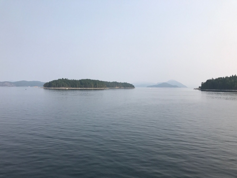 I have no money, no resources, no hopes. I am the happiest man alive. 
- Henry Miller
Leaving Cortes Island.  I feel shrouded in mist but happy.  The trip has mostly been a success.  Coming back to Cortes with a group of Chinese parents and students was hard to pull off but extremely rewarding.