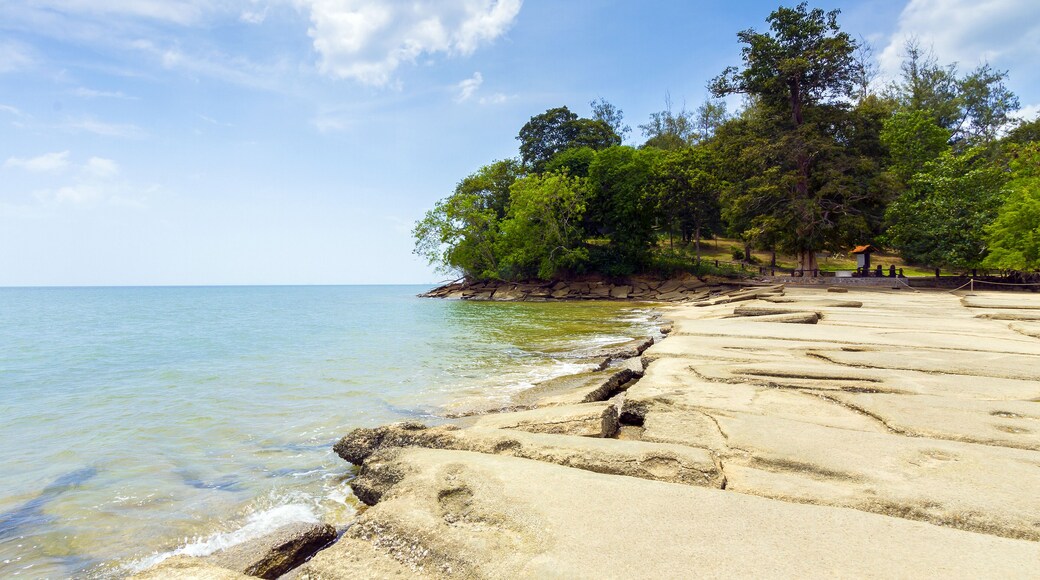 The shell graveyard Krabi , Fossil Shell Beach Krabi , Thailand; Shutterstock ID 231601087