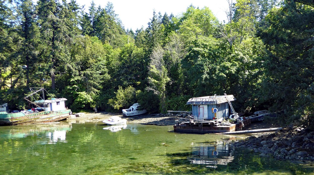 Boat graveyard at an inlet in what is otherwise a lovely harbour. The ferry connection to Swartz Bay for Victoria on Vancouver Island leaves here. #GreatOutdoors