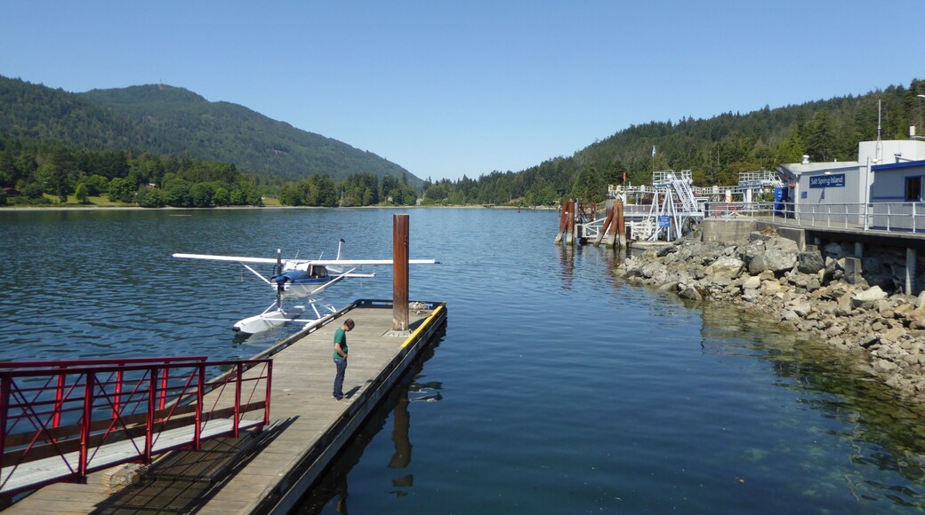 Lovely little harbour in the south of Salt Spring Island where the ferries for Swartz bay on Vancouver Island leave.