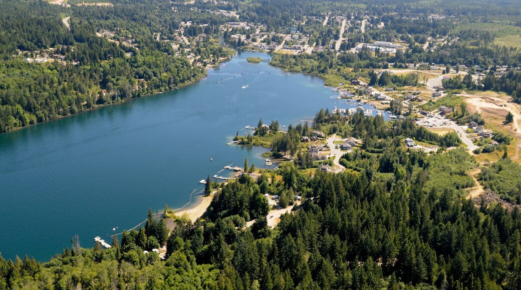 Lake Cowichan on Cowichan Lake, Vancouver Island Aerial Photographs