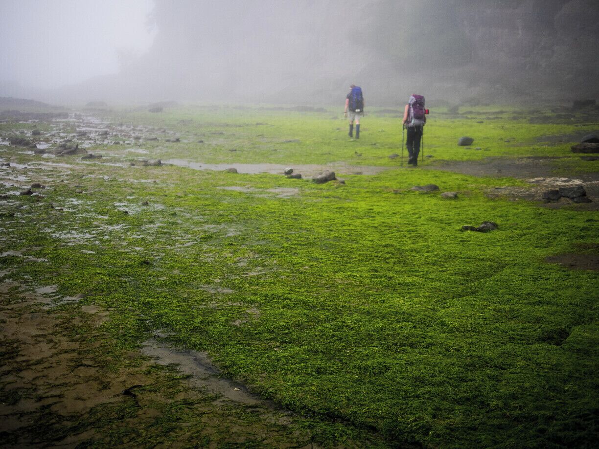 We loved hiking the West Coast Trail! 75kms of beauty.

How to Enjoy The West Coast Trail http://bit.ly/1AufUFd

#hike #adventure #britishcolumbia 