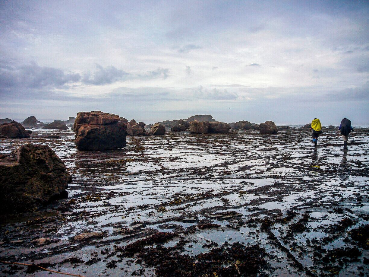 At low tide on the West Coast Trail, BC, Canada, you can make your own trail in the ocean.  The West Coast Trail is often referred to as the toughest hike in Canada.  It is approximately 75 km long through rough terrain following the coast of Vancouver Island.

#outdoors #hiking #trails