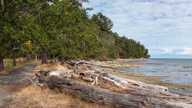 panoramic view of sandstone beach at Saysutshun (Newcastle Island) near Nanaimo, BC, Canada