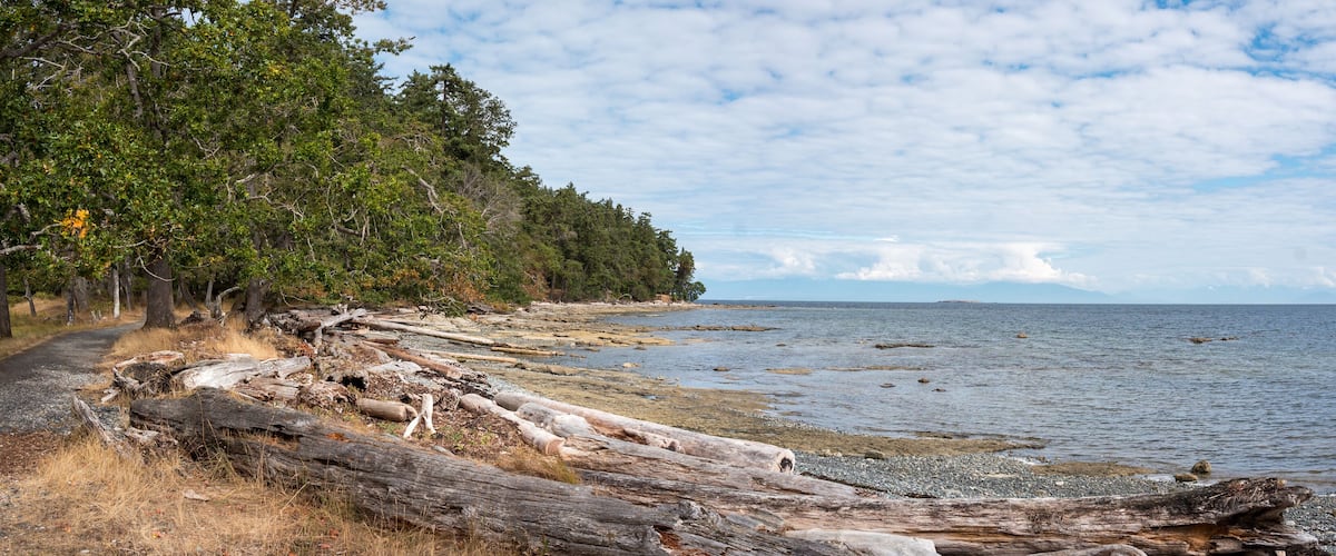 A coastal landscape with a forested area, a rocky shoreline, and a calm sea.