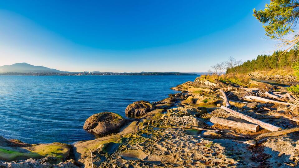 A rocky shoreline with a clear blue sky and distant mountains.