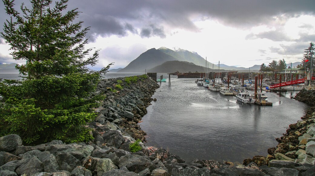 Kelsey Bay - north shore of Vancouver Island, BC. The view on the harbour, boats, rocks, pine tree, pier and mountains in the background. Stormy dark sky.