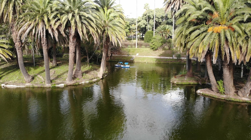 Parque Rodó