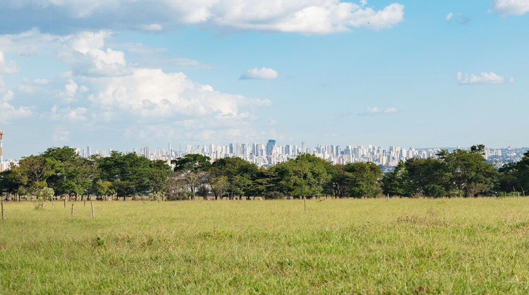 Além dos ipês floridos que você encontra aqui em certas épocas do ano, é possível apreciar uma incrível vista da cidade de Goiânia.
