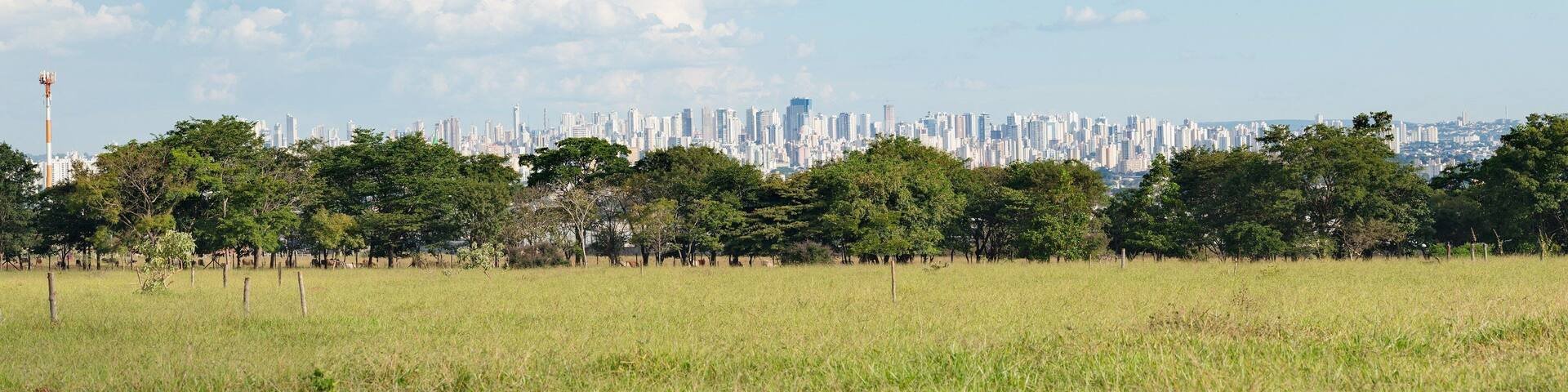 Além dos ipês floridos que você encontra aqui em certas épocas do ano, é possível apreciar uma incrível vista da cidade de Goiânia.