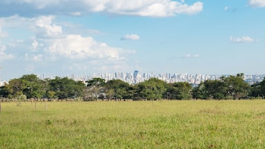 AlĂ©m dos ipĂȘs floridos que vocĂȘ encontra aqui em certas Ă©pocas do ano, Ă© possĂvel apreciar uma incrĂvel vista da cidade de GoiĂąnia.