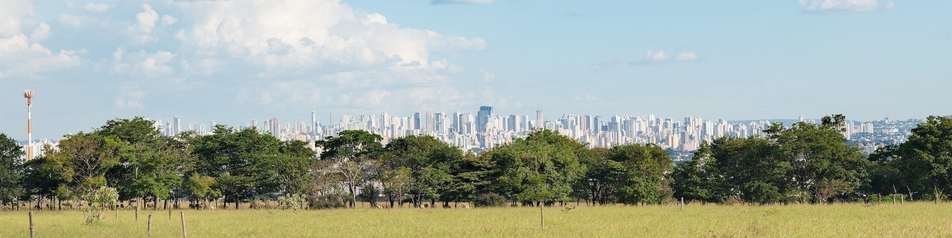 Além dos ipês floridos que você encontra aqui em certas épocas do ano, é possível apreciar uma incrível vista da cidade de Goiânia.