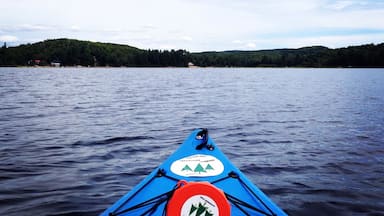 A blue kayak on calm water with a forested shoreline in the background.