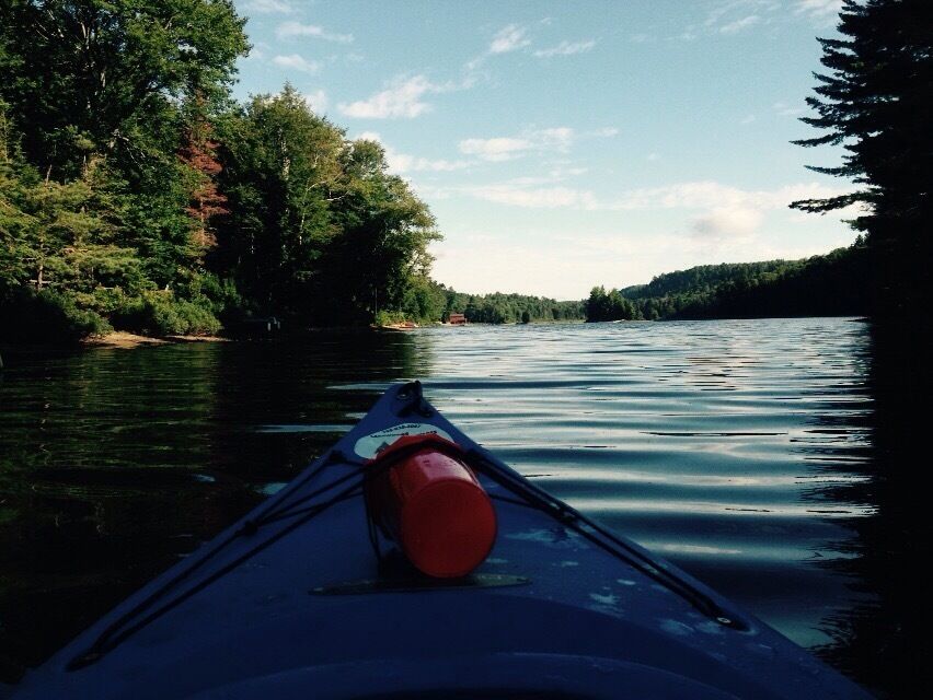 Una canoa en un río tranquilo rodeado de bosque denso.