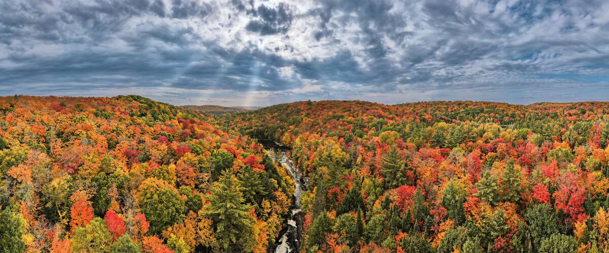 A forest with autumn foliage and a river.