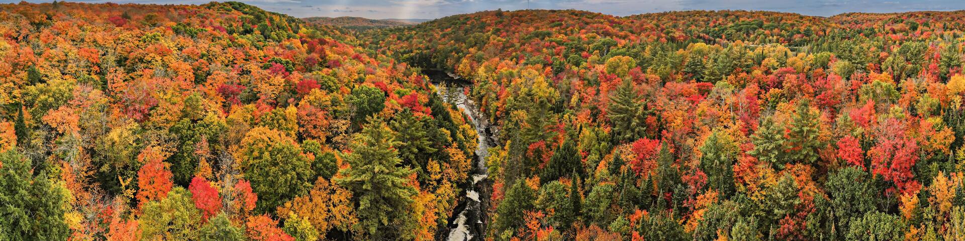 A forest with autumn foliage and a river.