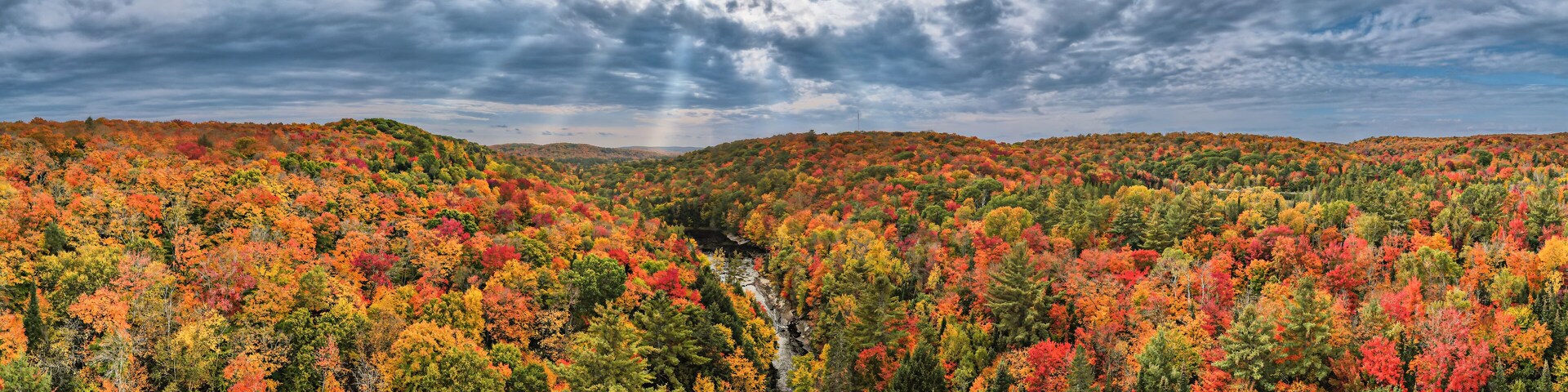 A forest with autumn foliage and a river.