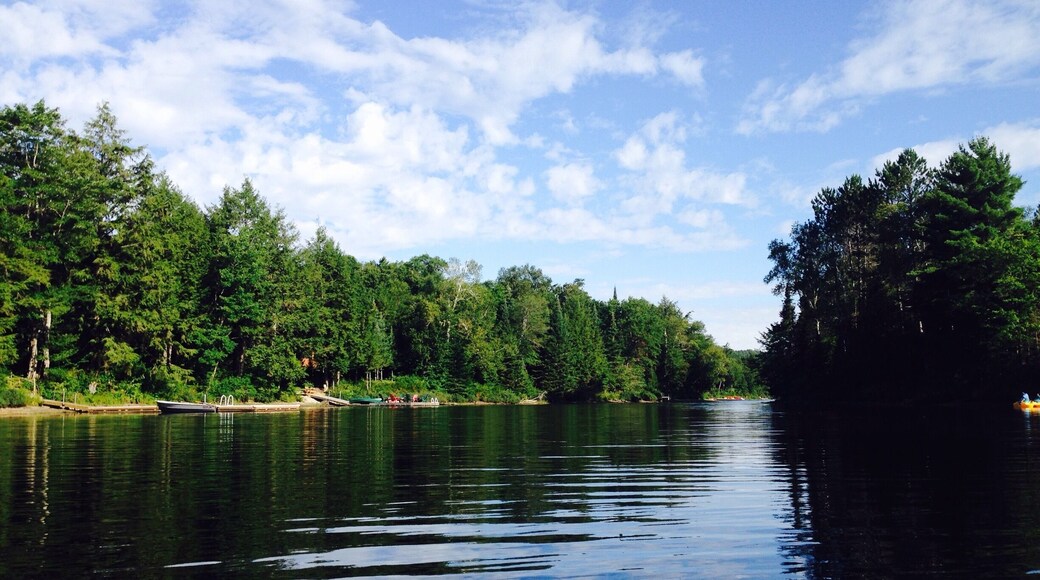 Early morning Kayaking on Oxtongue Lake in the Algonquin Highlands.