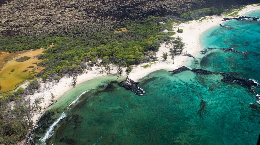 Vue aérienne d’une zone côtière avec des eaux turquoise limpides, des plages de sable et une végétation luxuriante.