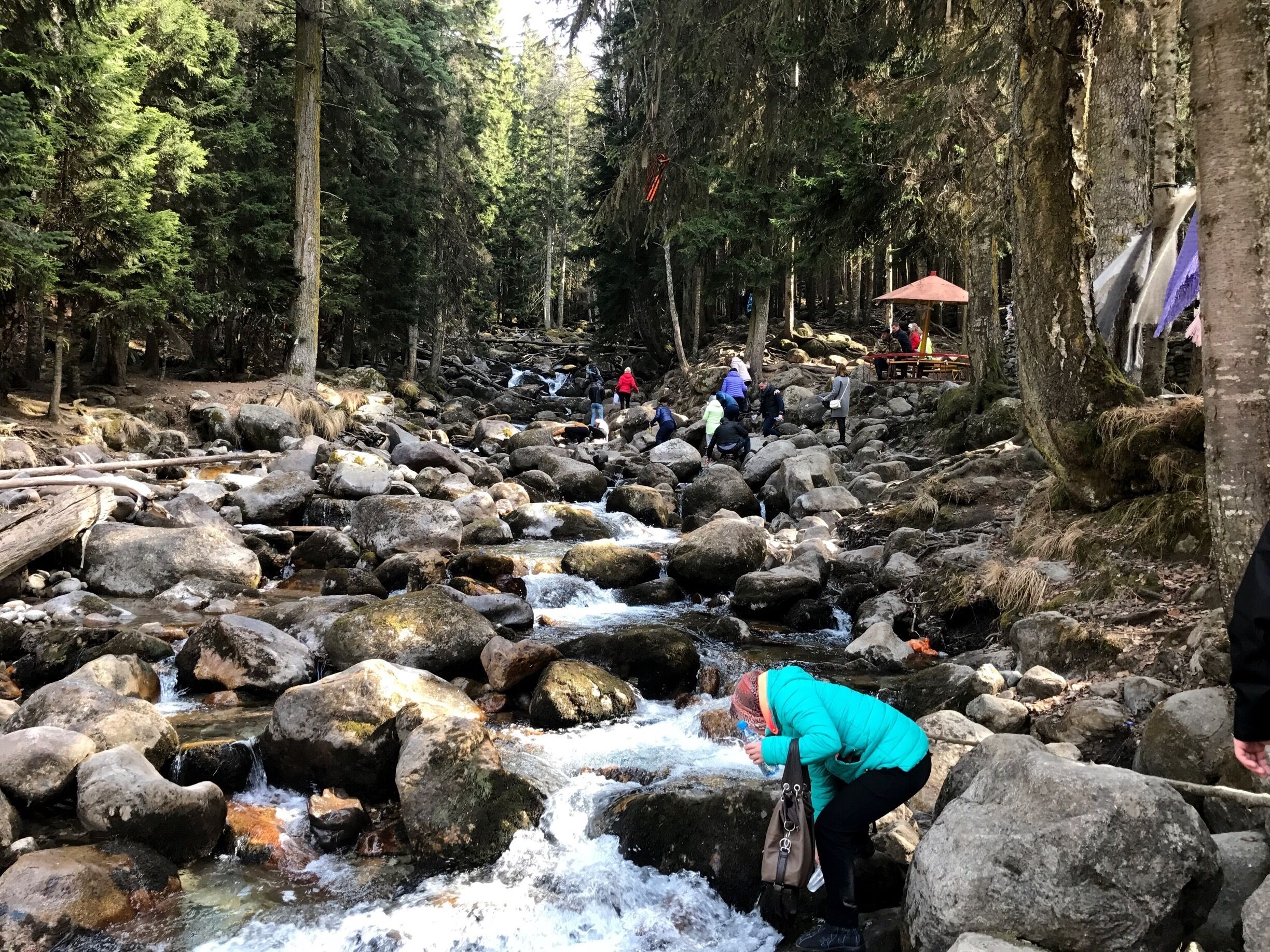 Горный ручей... все хотят водички)