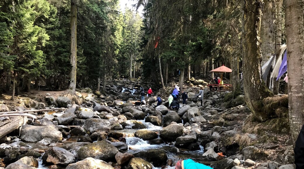 Горный ручей... все хотят водички)