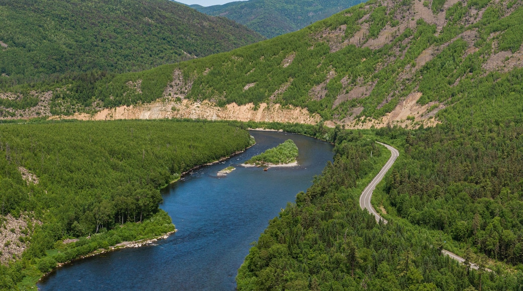 Valley Of The Mountain River Anyuy. Khabarovsk territory in the far East of Russia. The view of Anyui river is beautiful. Anyu national Park. Landscape mountain river in the Russian taiga.