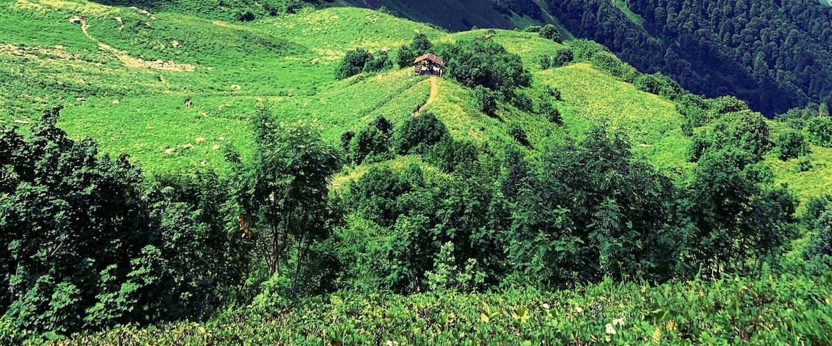 Visiting Russia spend at least one day at the mountains! It is situated not far from Sochi city and calls Krasnaya Polyana, a perfect city inside the mountains with a lot hiking routs in summer and ski roads in winter!
#russia #sochi #hiking #krasnayapolyana #mountains #gorkigorod #summer #сочи #россия #горы
