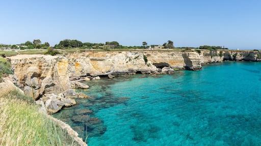 توري ديل أورسو