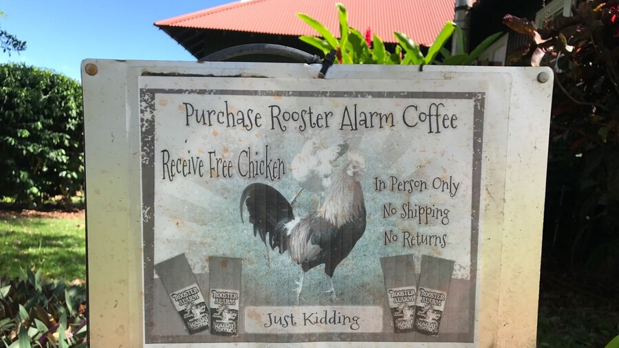 If you've gone to Kauai, you get it! Kauai coffee humor!