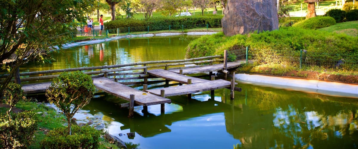 Japanese Garden featuring a pond and a park