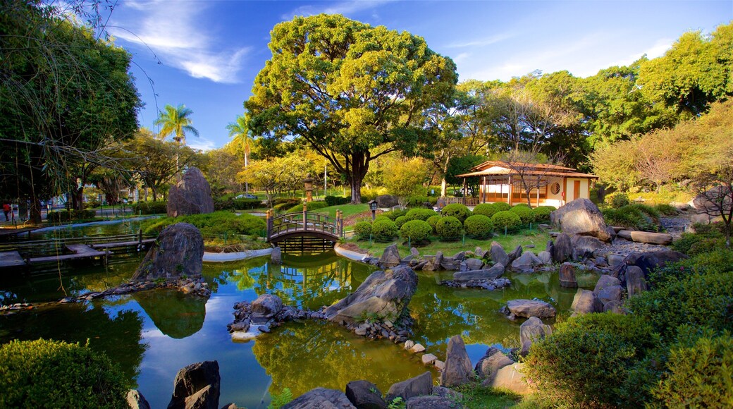 Japanese Garden featuring a park and a pond