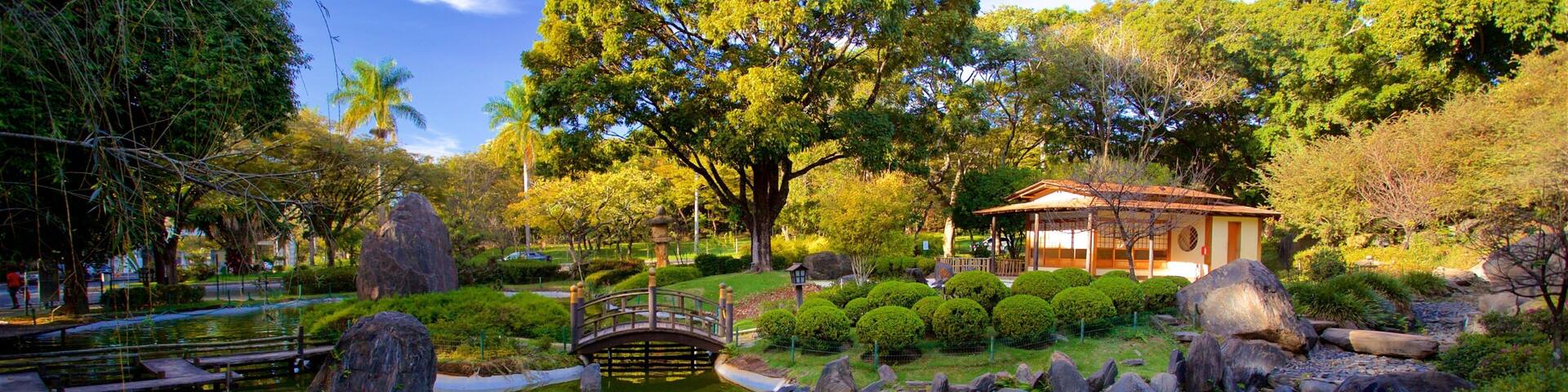 Japanese Garden showing a pond and a park