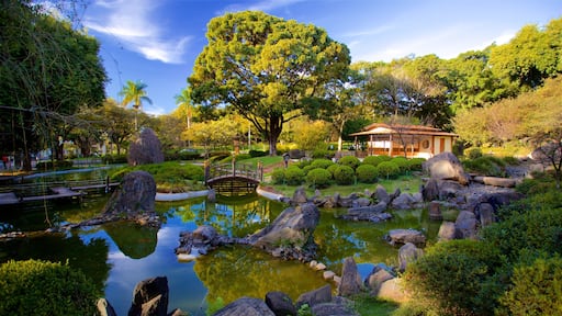 Jardín japonés mostrando un estanque y un jardín