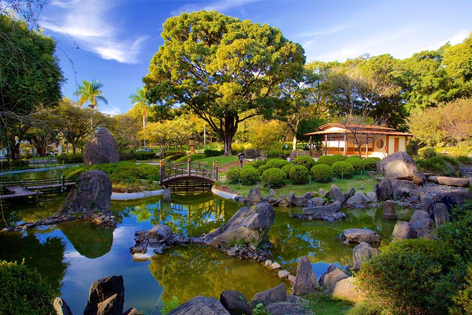 A serene garden with a pond, rocks, a wooden bridge, and a traditional building.