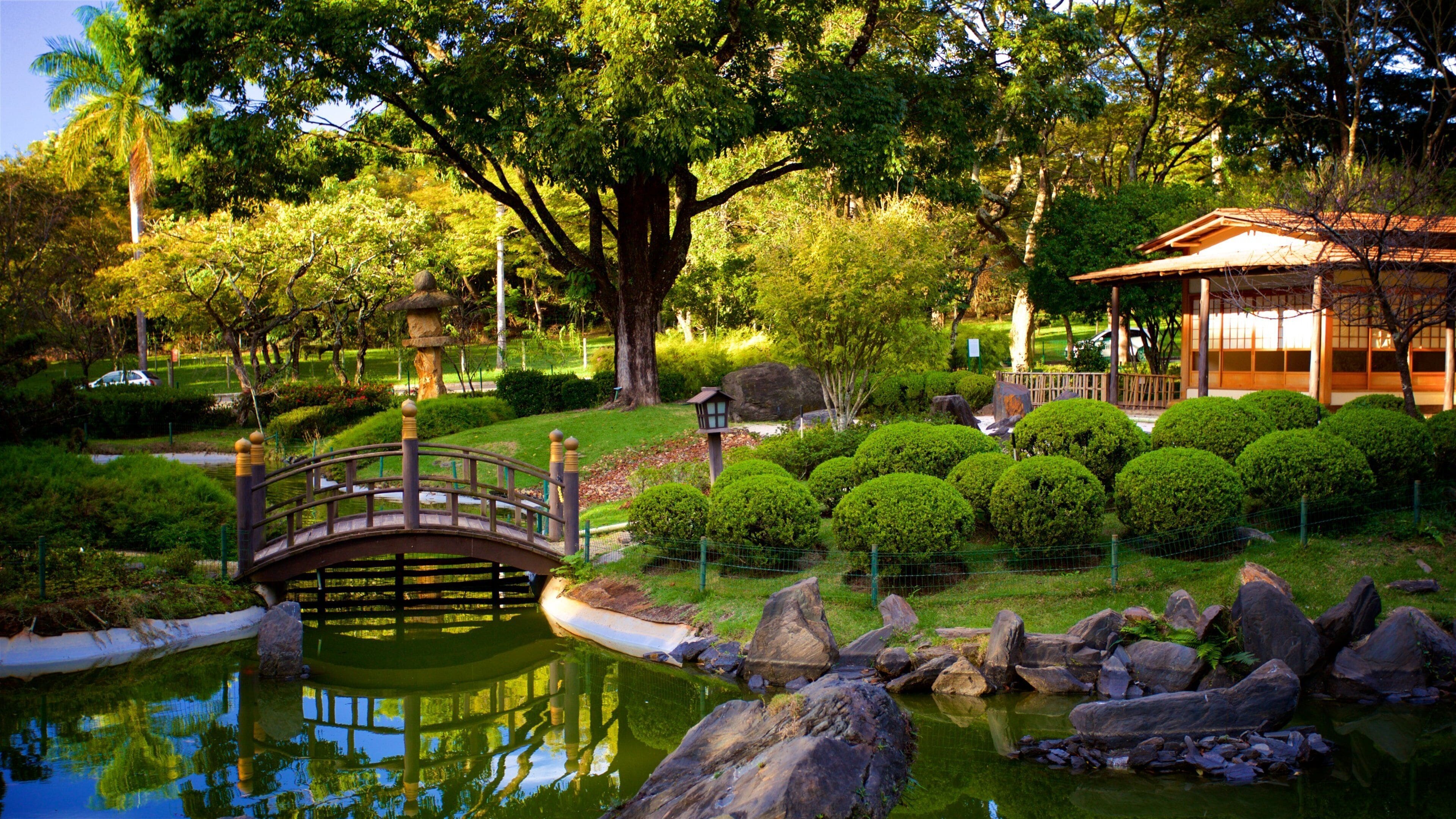 Japanese Garden featuring a park, a bridge and a pond