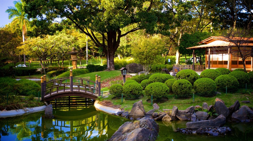Japanese Garden featuring a park, a bridge and a pond