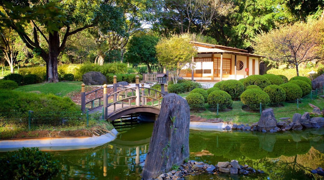 Japanese Garden which includes a pond and a park