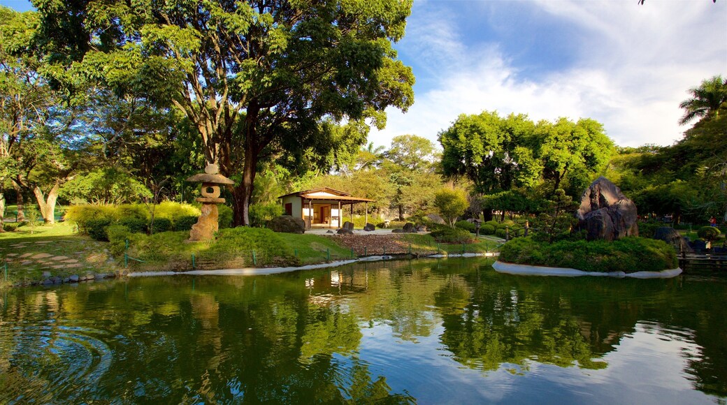 Japanse tuin toont een vijver en een park