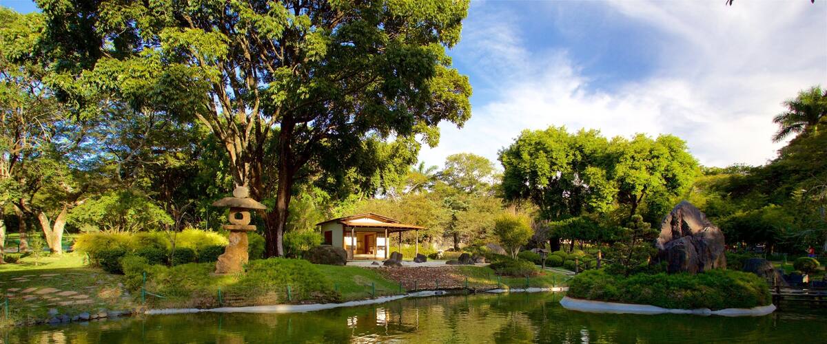 Jardín japonés ofreciendo un parque y un estanque