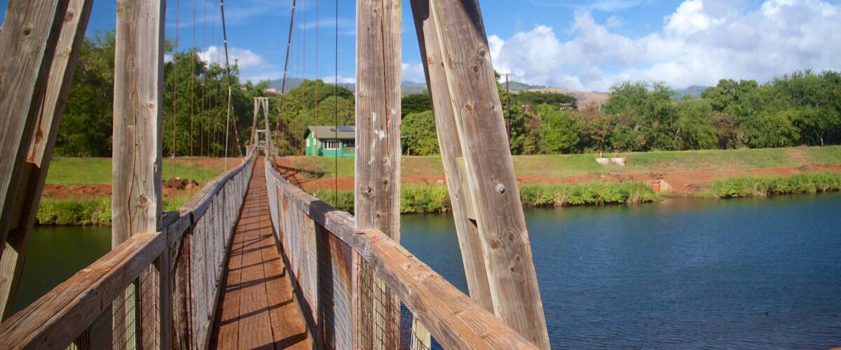 Swinging Bridge montrant lac ou étang et passerelle ou pont suspendu