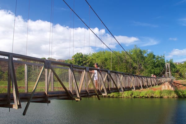 Swinging Bridge mit einem Hängebrücke oder Baumkronenpfad