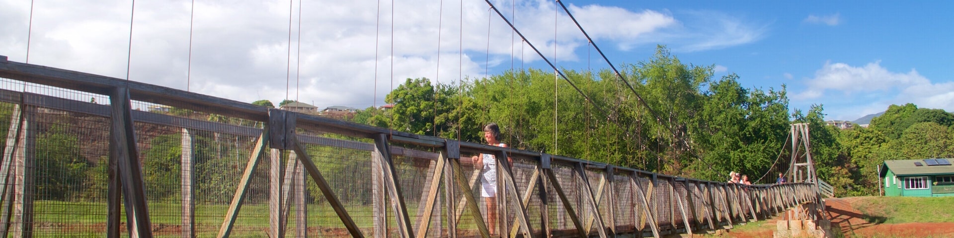 Swinging Bridge which includes a suspension bridge or treetop walkway